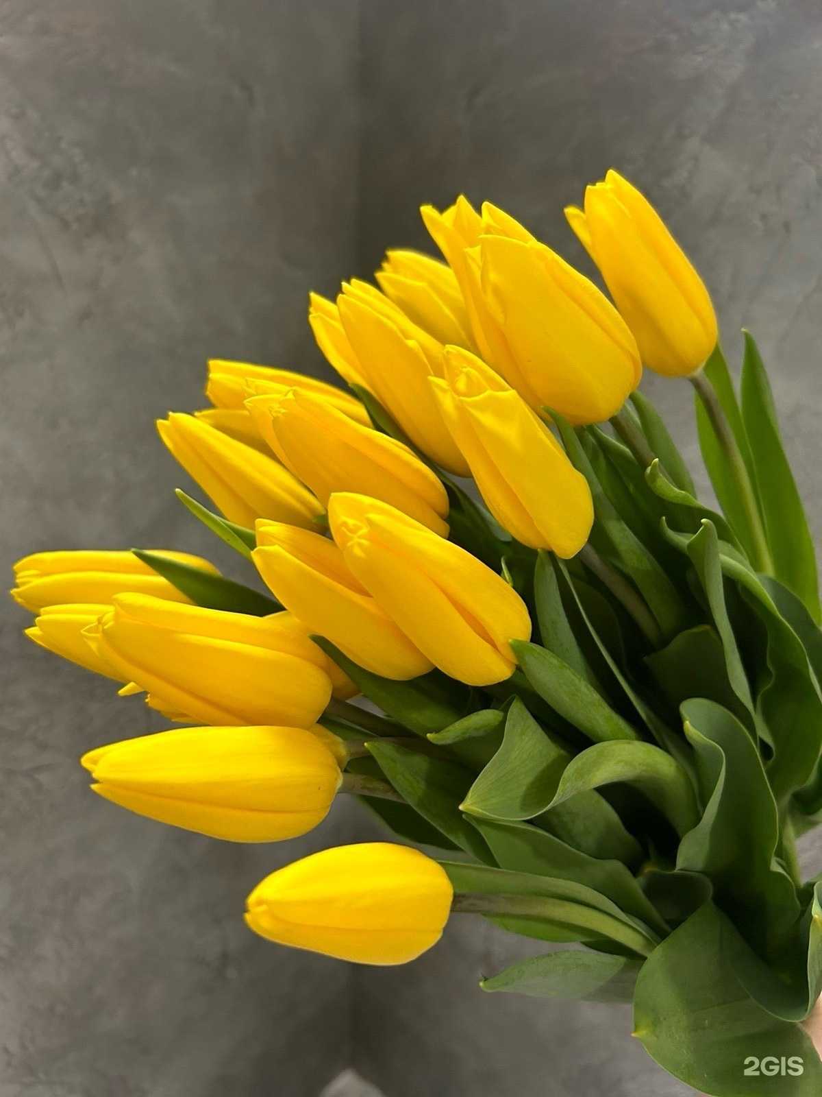 Отзывы на компанию Alexa flowers в Тюмени c фото