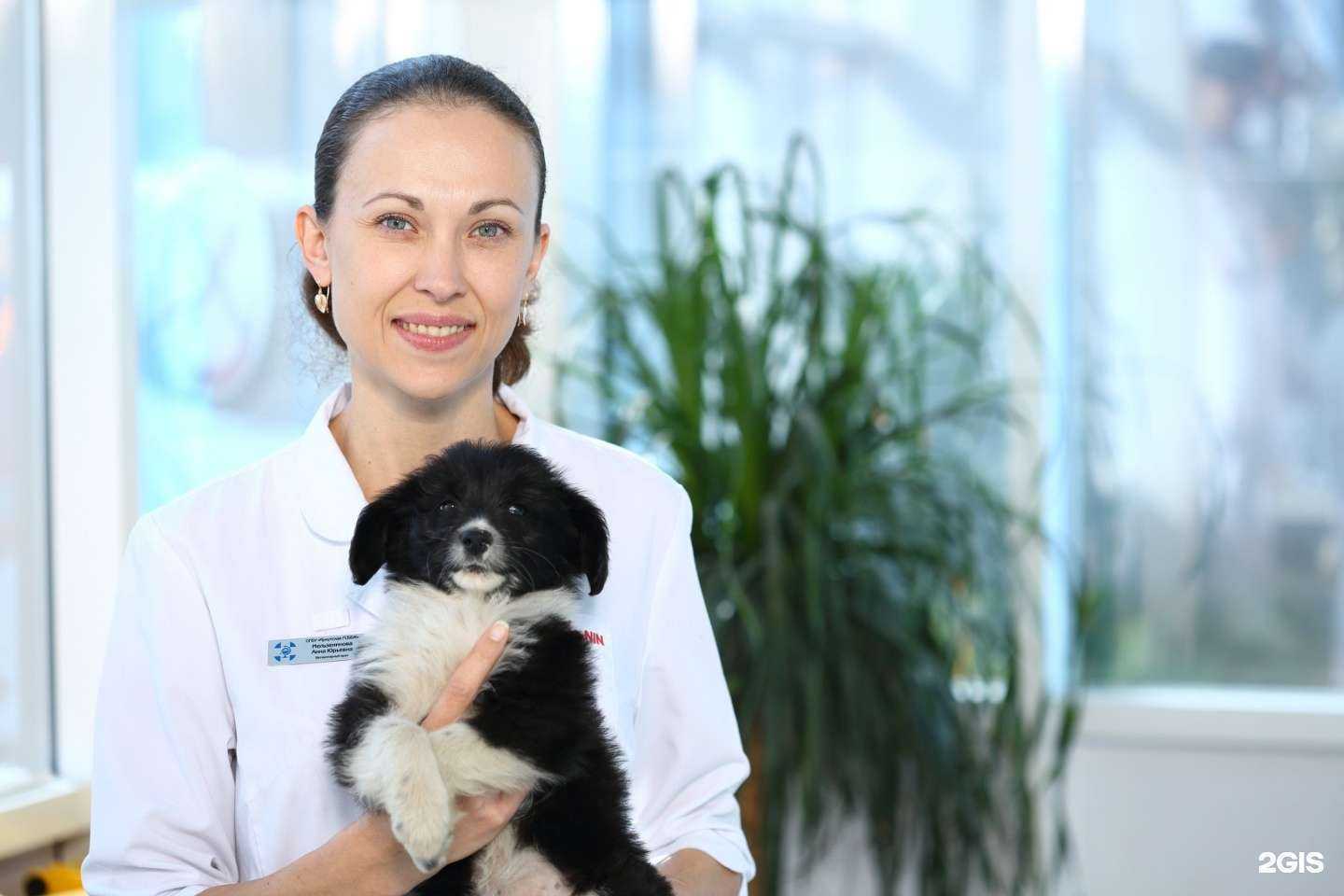 Отзывы на компанию Иркутская городская станция по борьбе с болезнями животных в Иркутске c фото