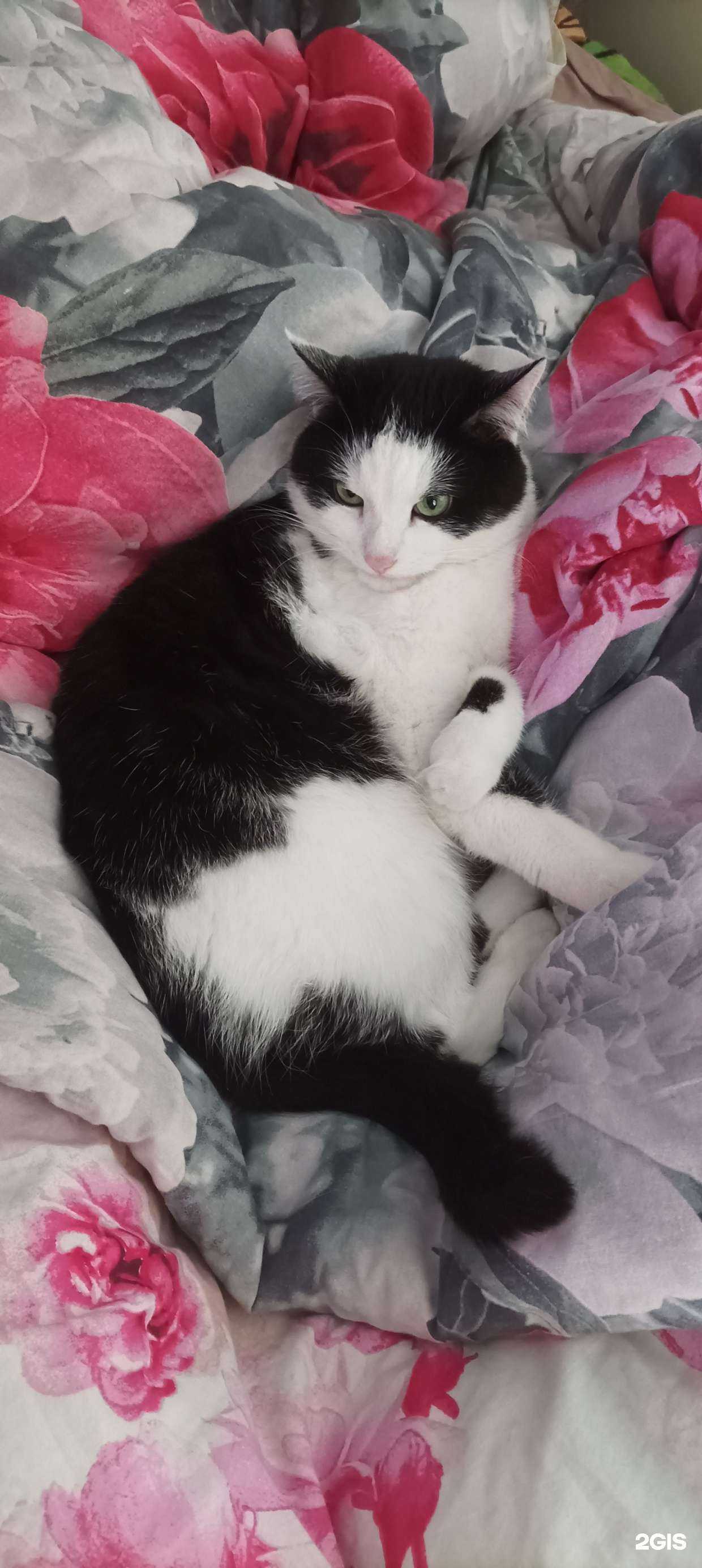 Отзывы на компанию МэриВет в г. Новосибирск c фото