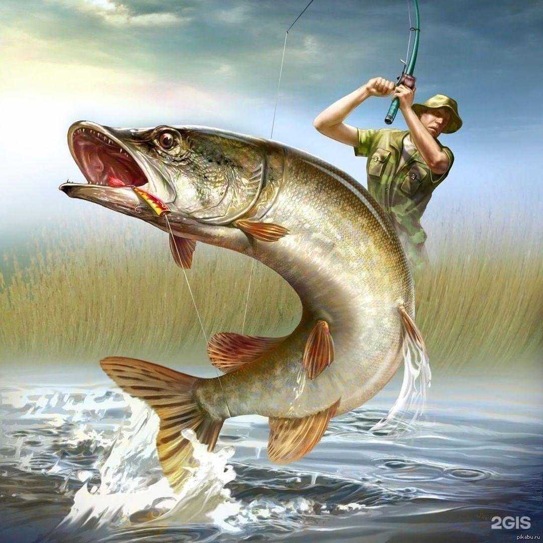 Отзывы на компанию Находка рыбака в г. Чебоксары c фото