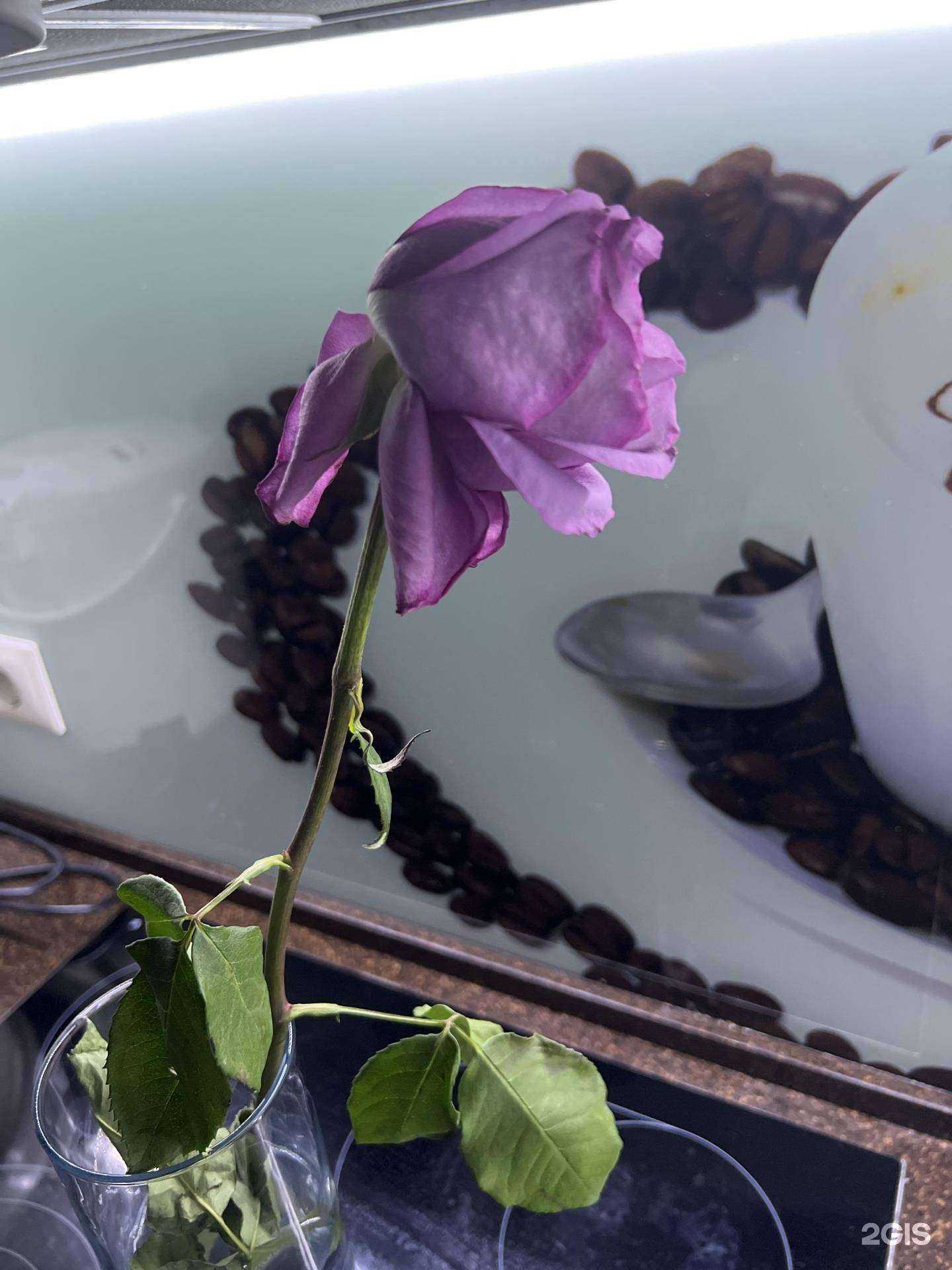 Отзывы на компанию Салон цветов в Красноярске c фото