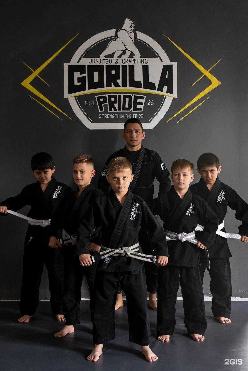 Отзывы на компанию Gorilla pride в Тюмени c фото