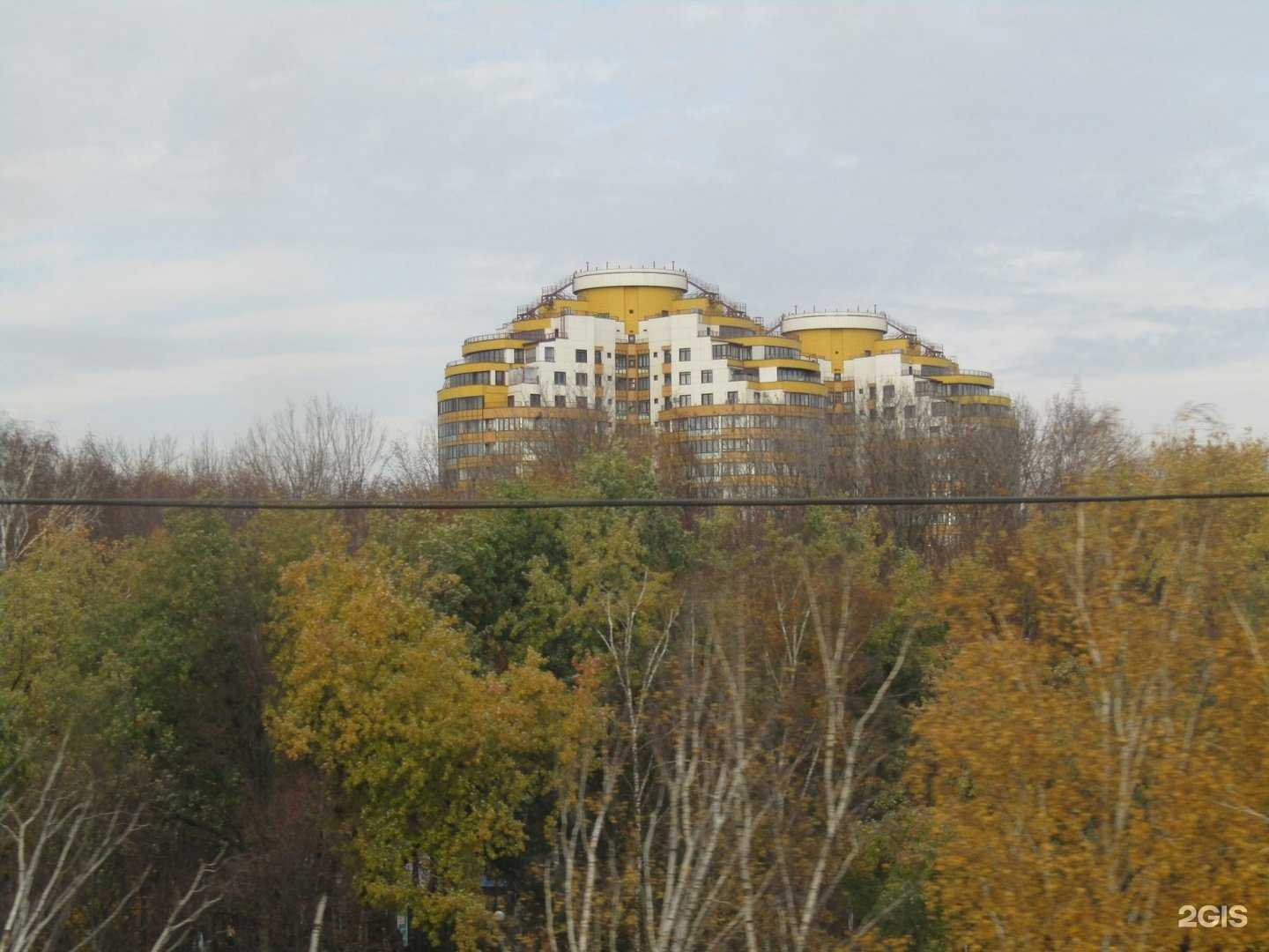 Отзывы на компанию Букет красиво в Химках c фото - фотография 2 из 2