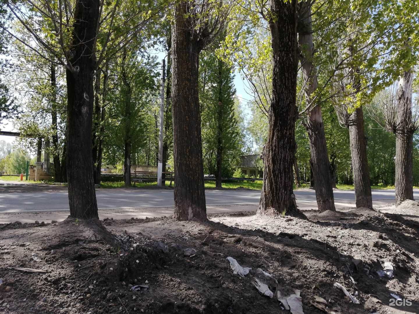 Отзывы на компанию Тема-2 в Твери c фото