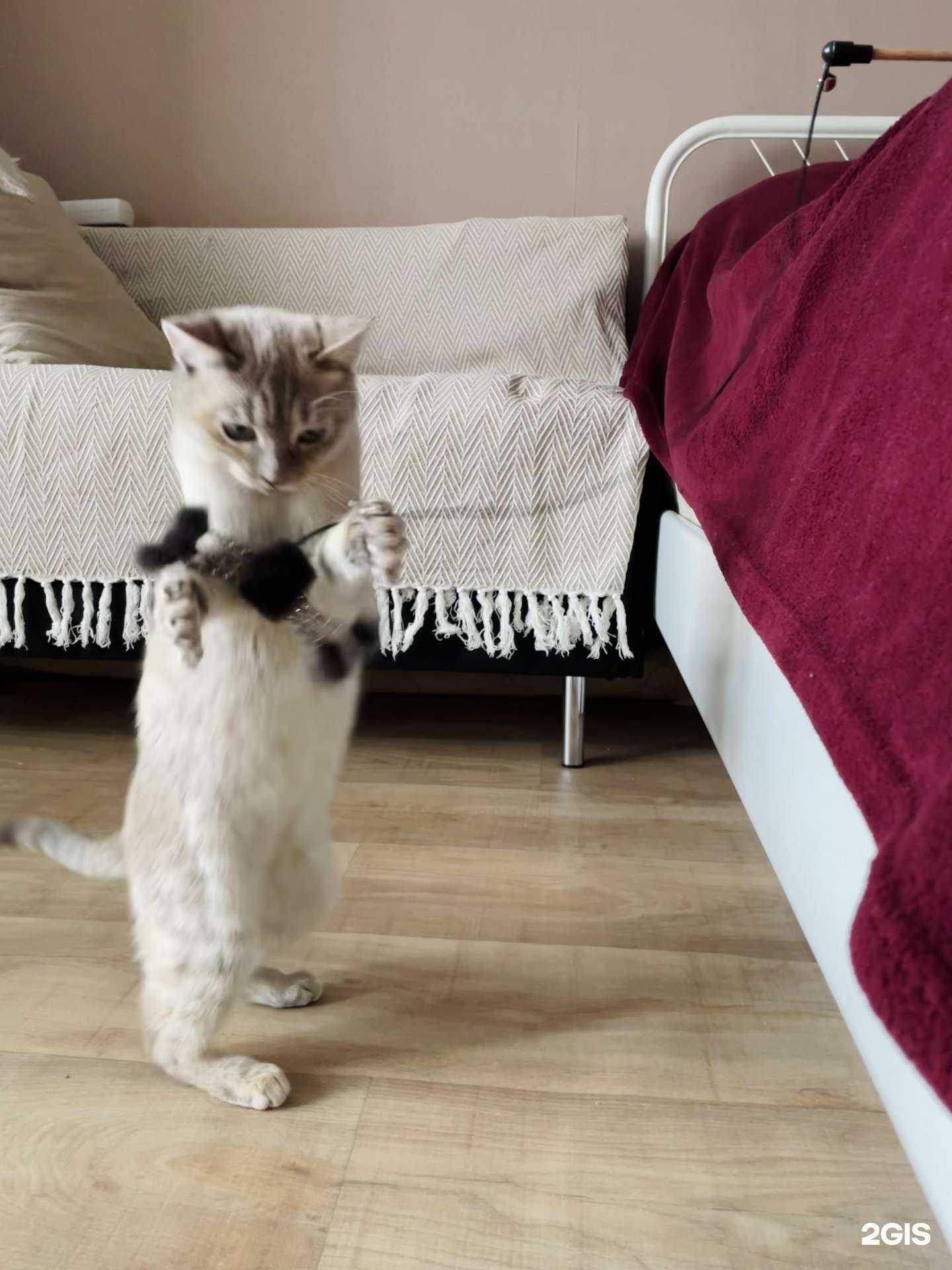 Отзывы на компанию Зоомагазин в г. Казань c фото