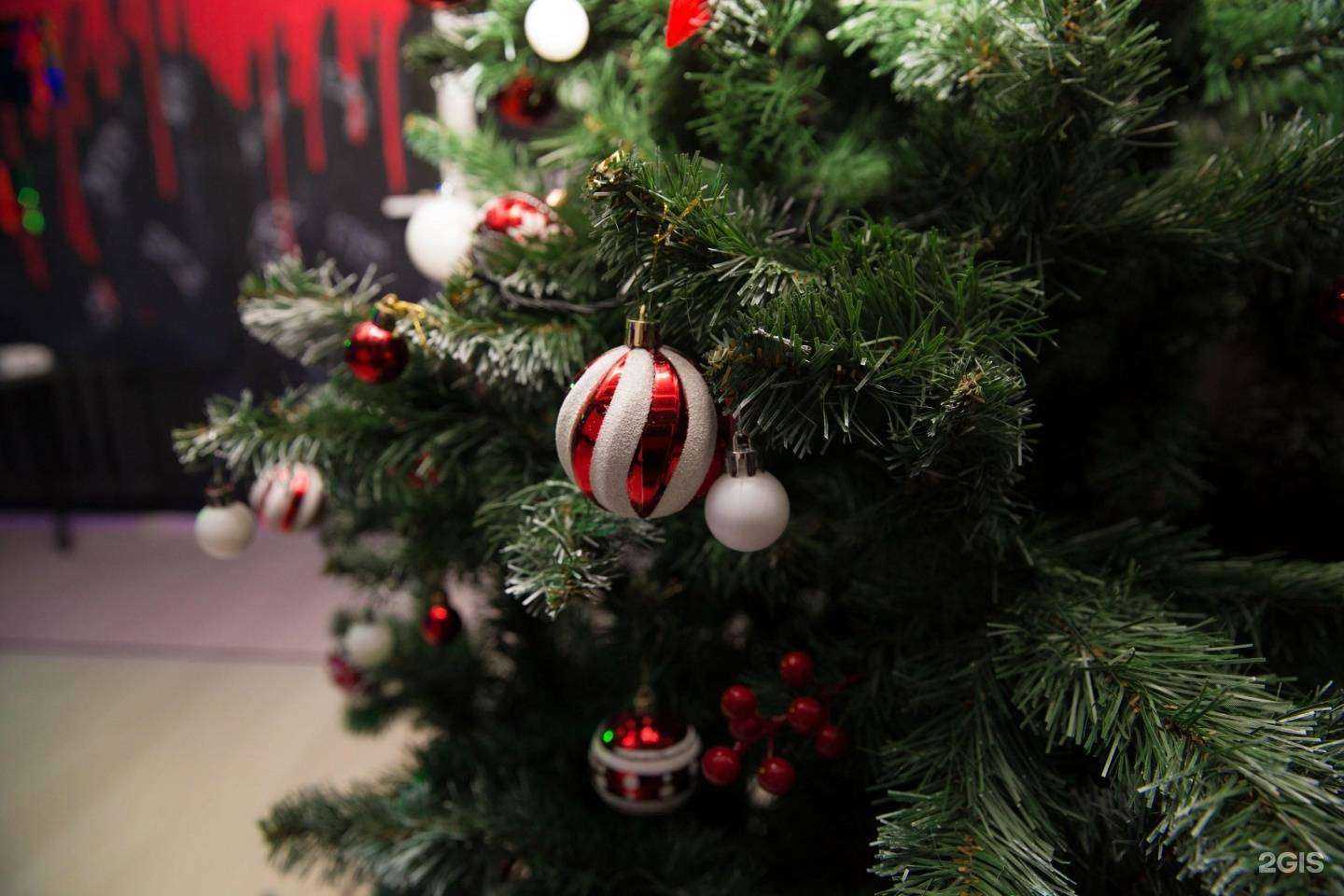 Отзывы на компанию ‎Игра в Кальмара в Ростове-на-Дону c фото