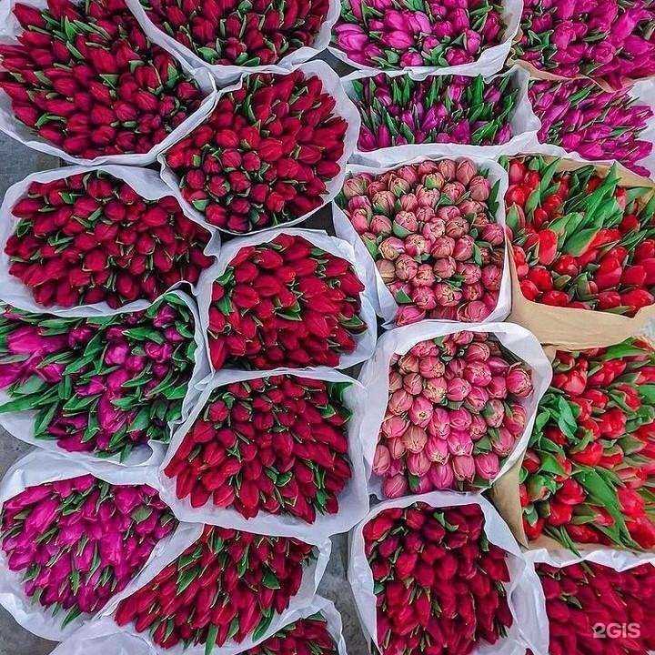 Отзывы на компанию Студия цветов Татьяны Эль в Орске c фото