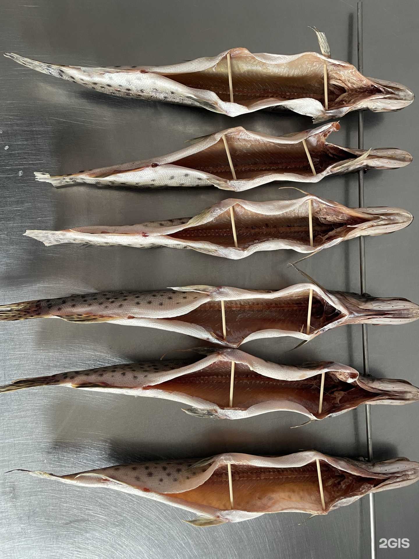 Отзывы на компанию Катран в г. Красноярск c фото