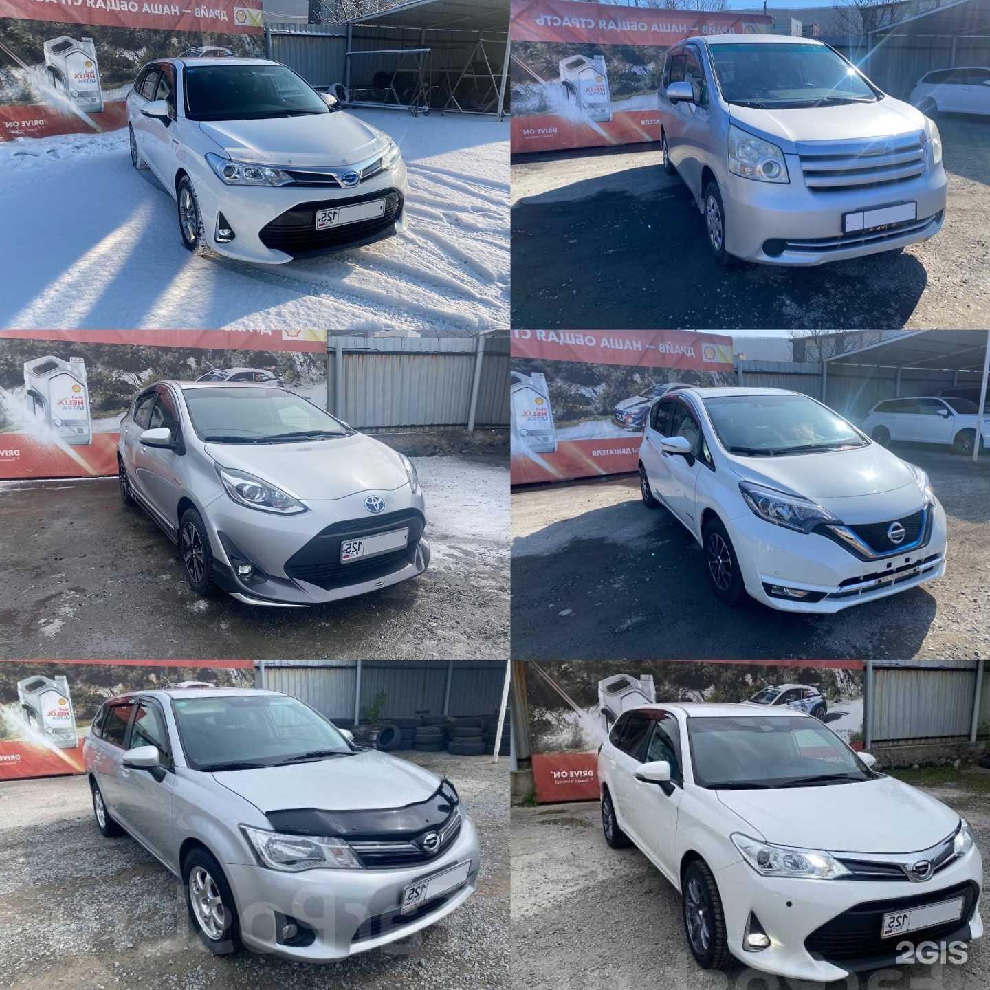 Отзывы на компанию Форвард в Находке c фото