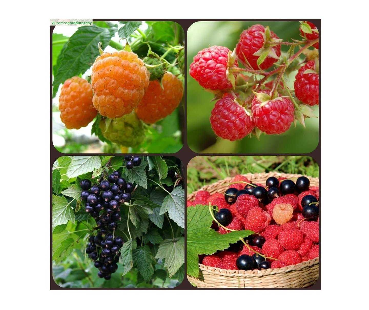 Отзывы на компанию Сияние в г. Томск c фото