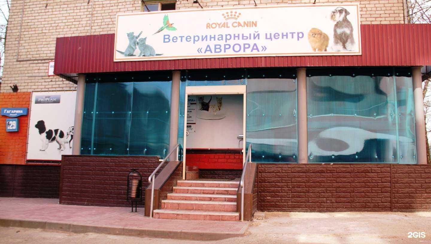 Отзывы на компанию Аврора в Липецке c фото