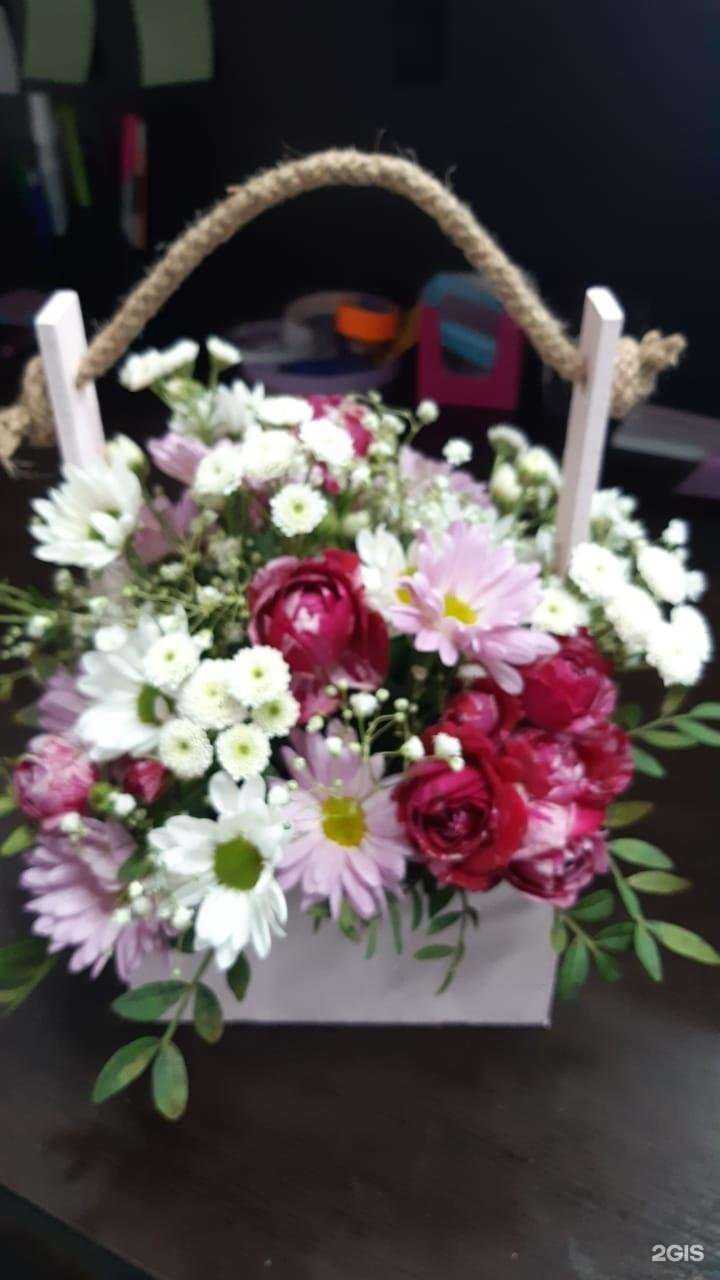 Отзывы на компанию Drevo в г. Ессентуки c фото