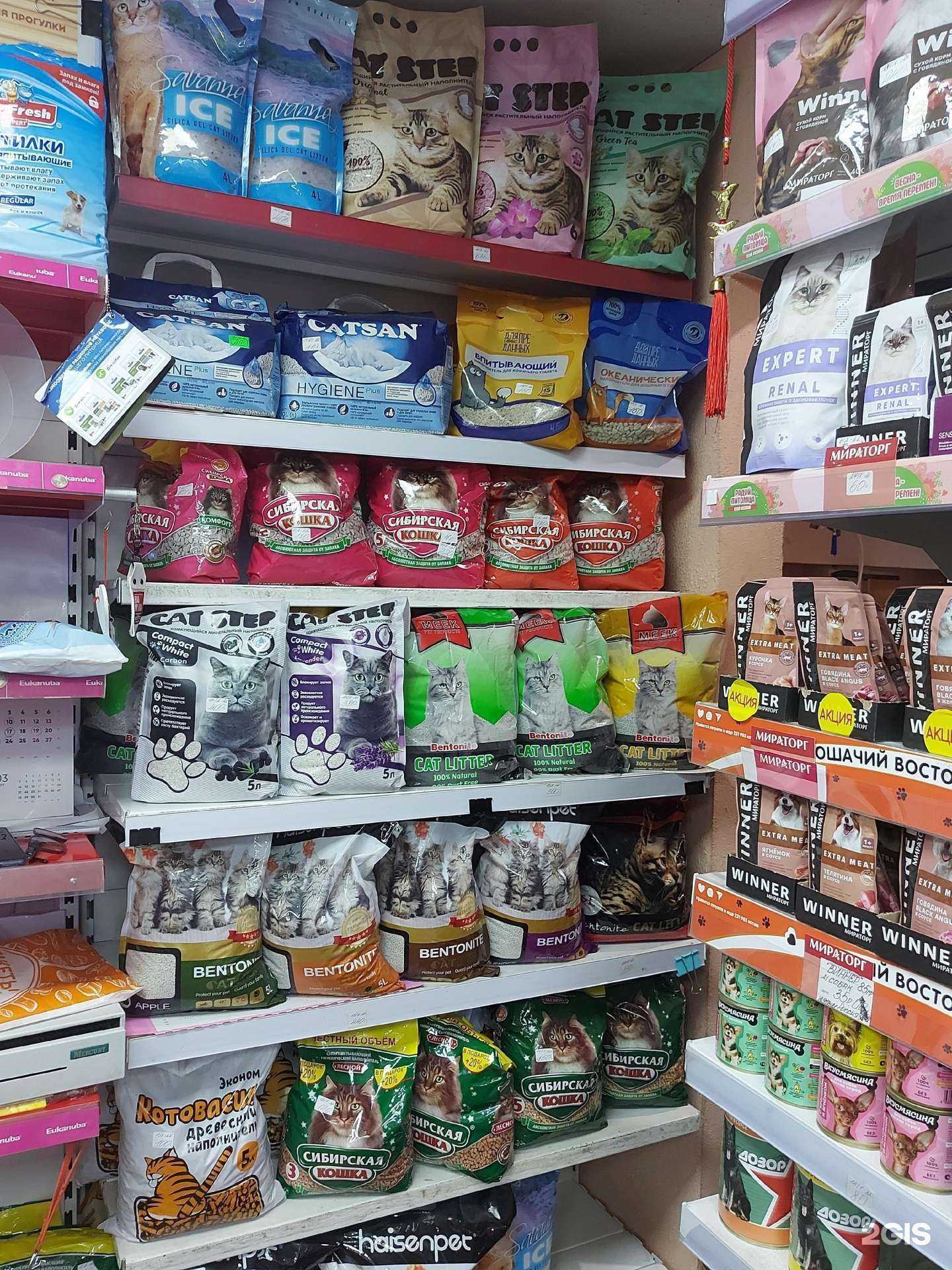 Отзывы на компанию Догсервис в Шелехове c фото