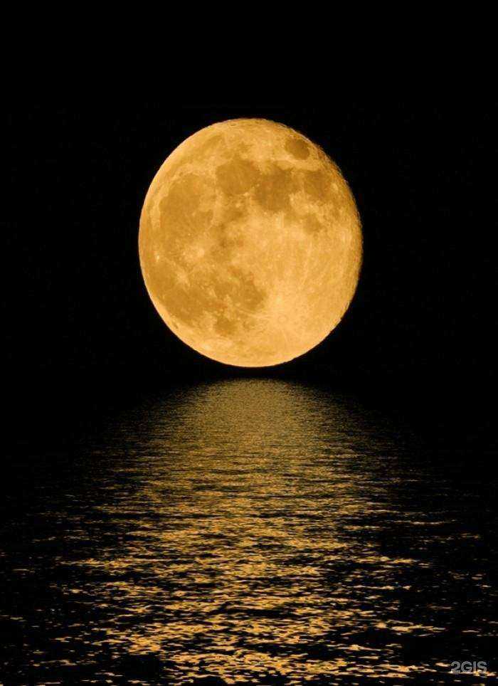 Отзывы на компанию Русский сад в Боре c фото