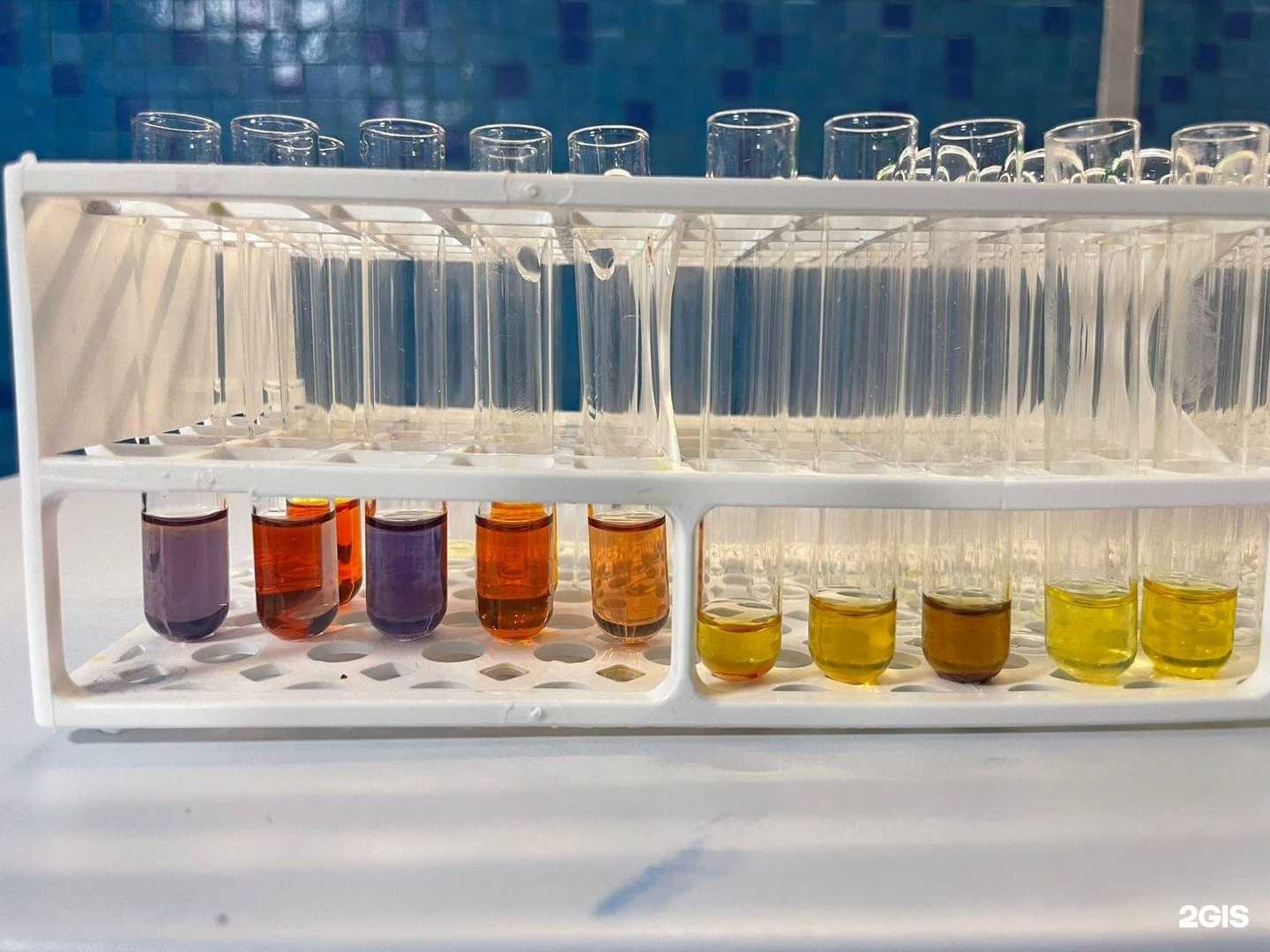 Отзывы на компанию Рекс в Хабаровске c фото