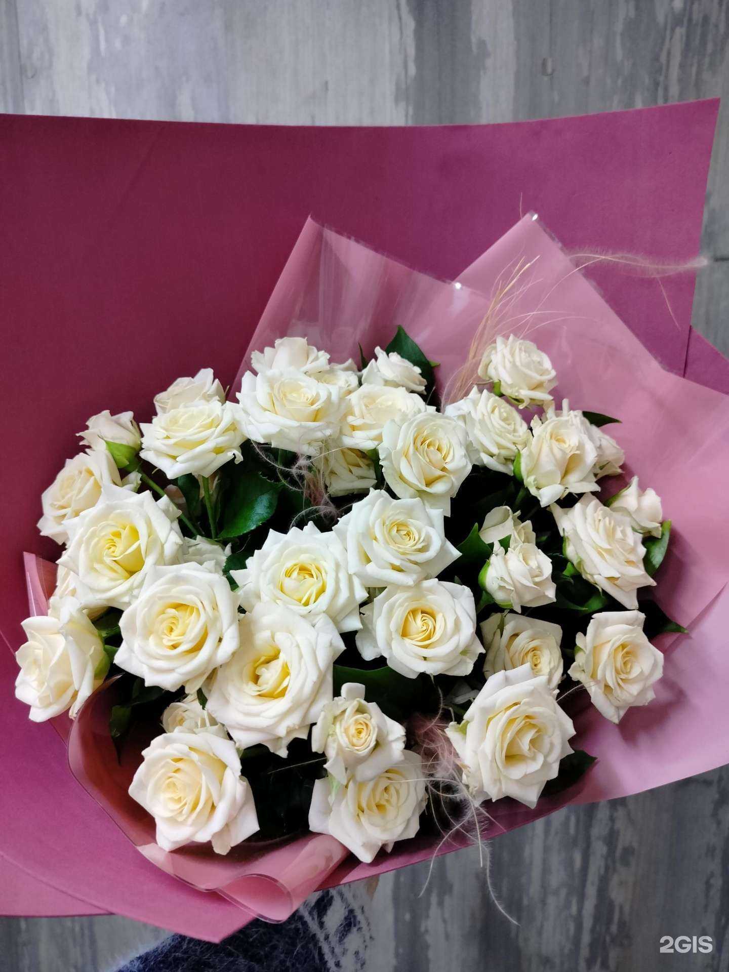 Отзывы на компанию Зеленый слон в г. Краснодар c фото