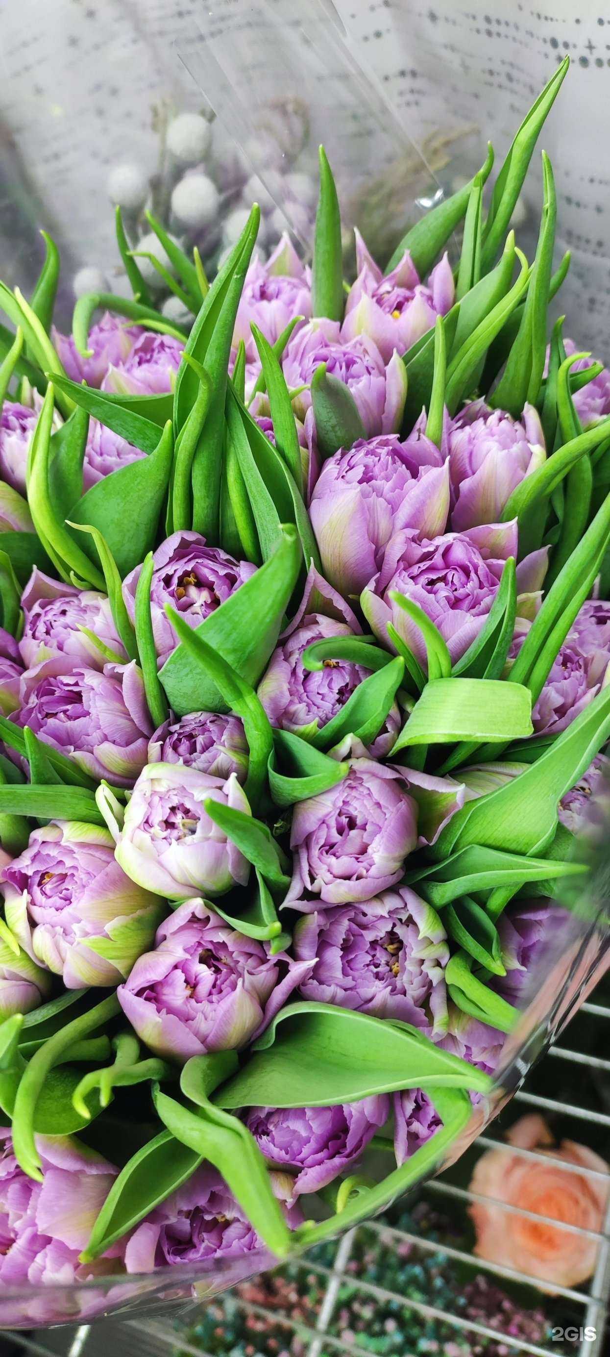 Отзывы на компанию Аленький цветочек в г. Красногорск c фото