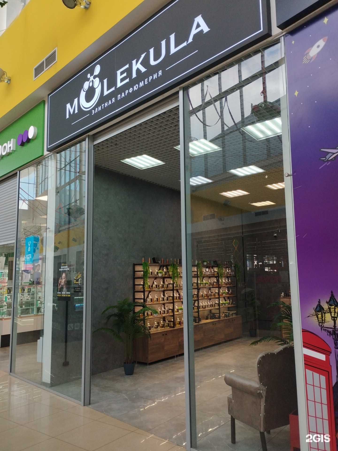 Отзывы на компанию Molekula в Воронеже c фото