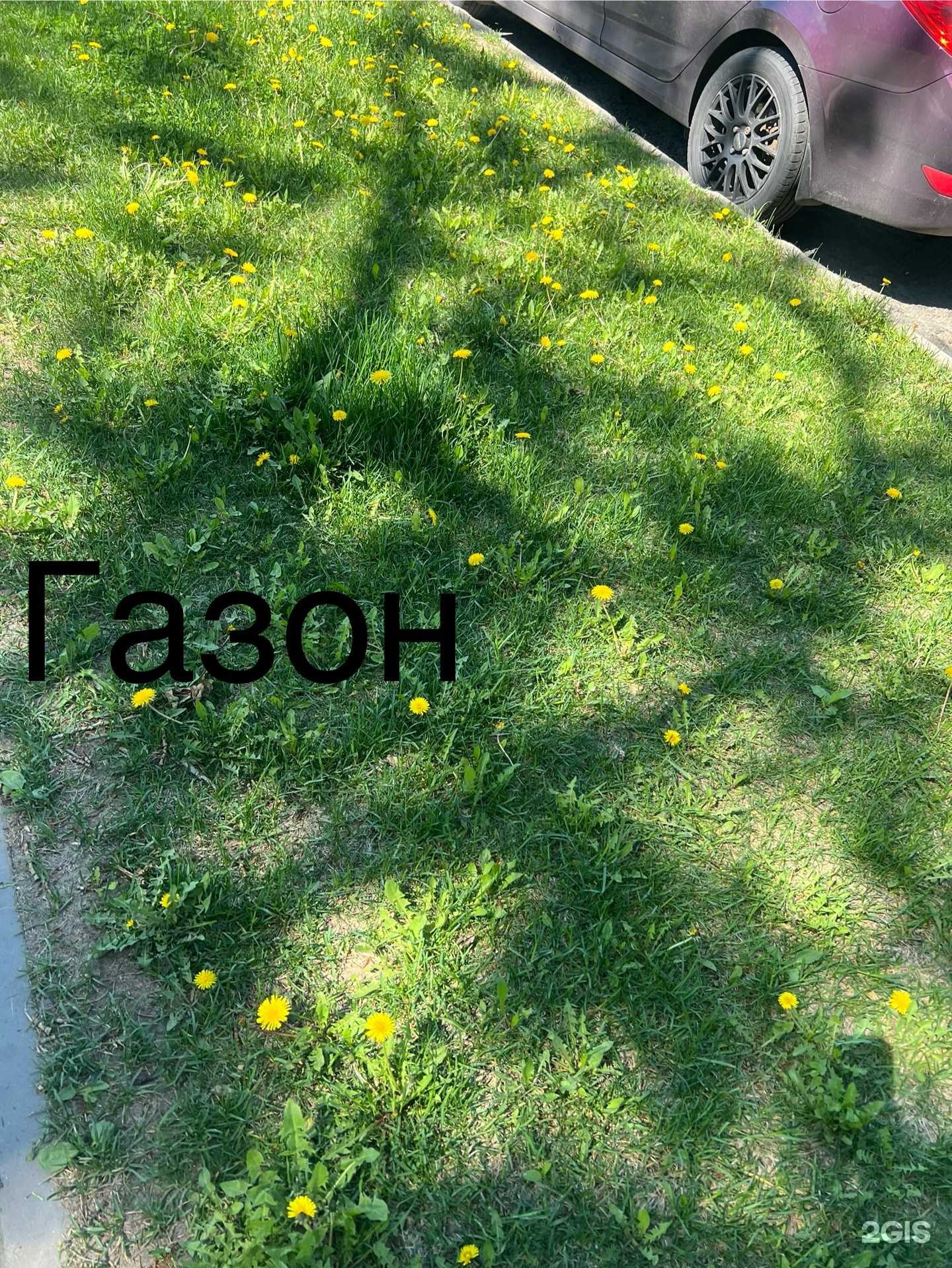 Отзывы на компанию Полезная площадь в г. Нижний Новгород c фото