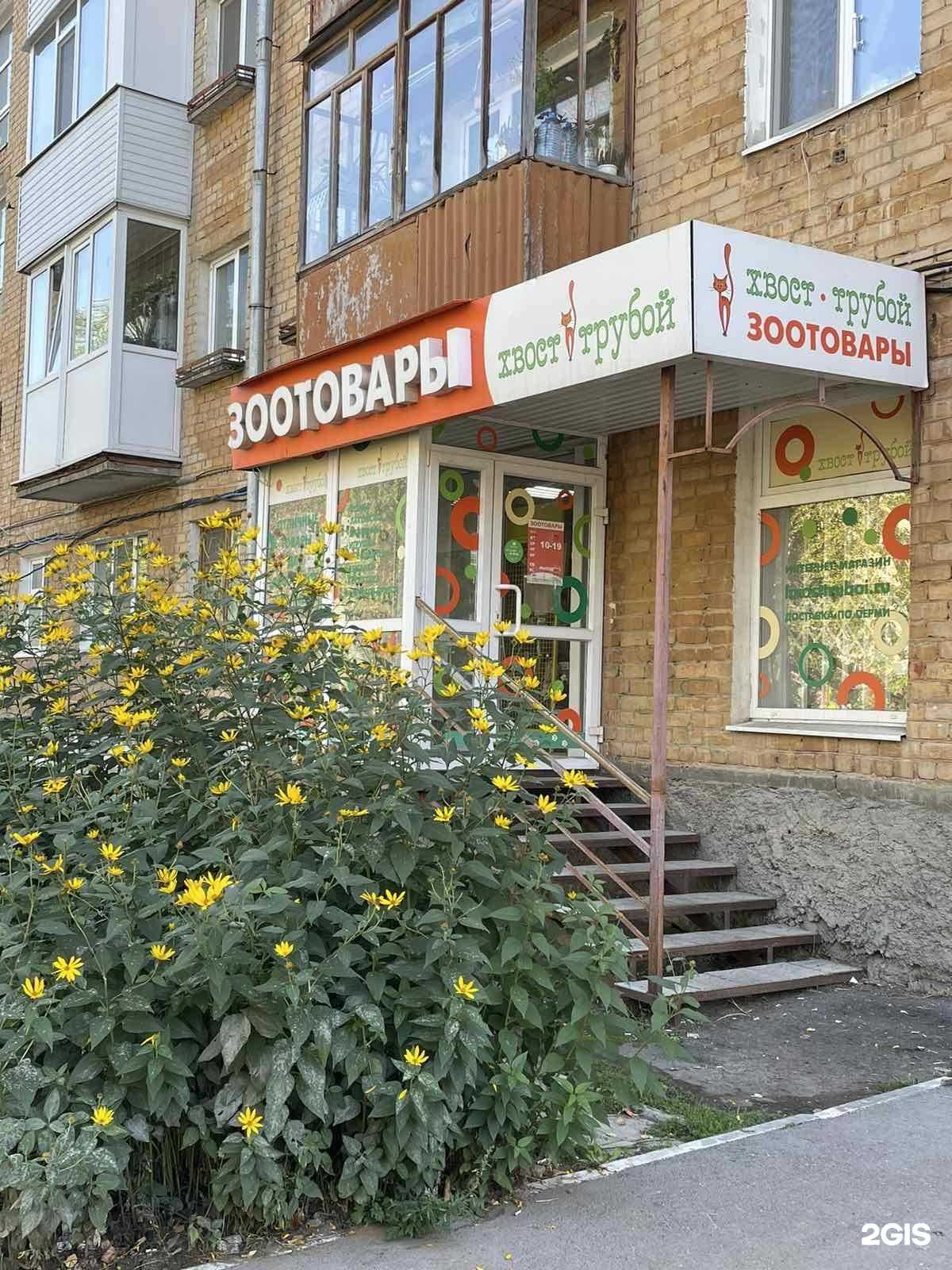 Отзывы на компанию Хвост Трубой в Перми c фото