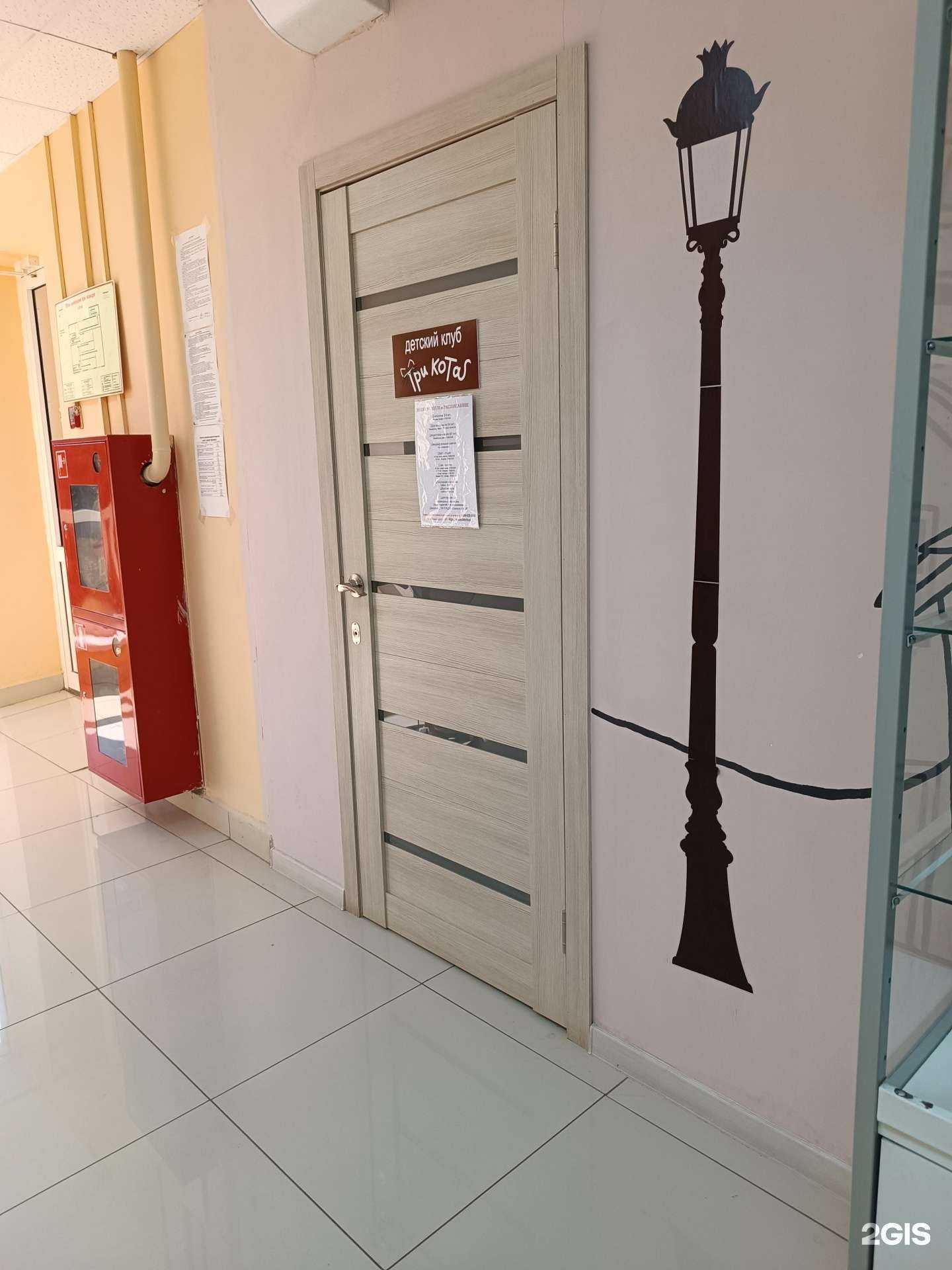 Отзывы на компанию Три кота в г. Арзамас c фото