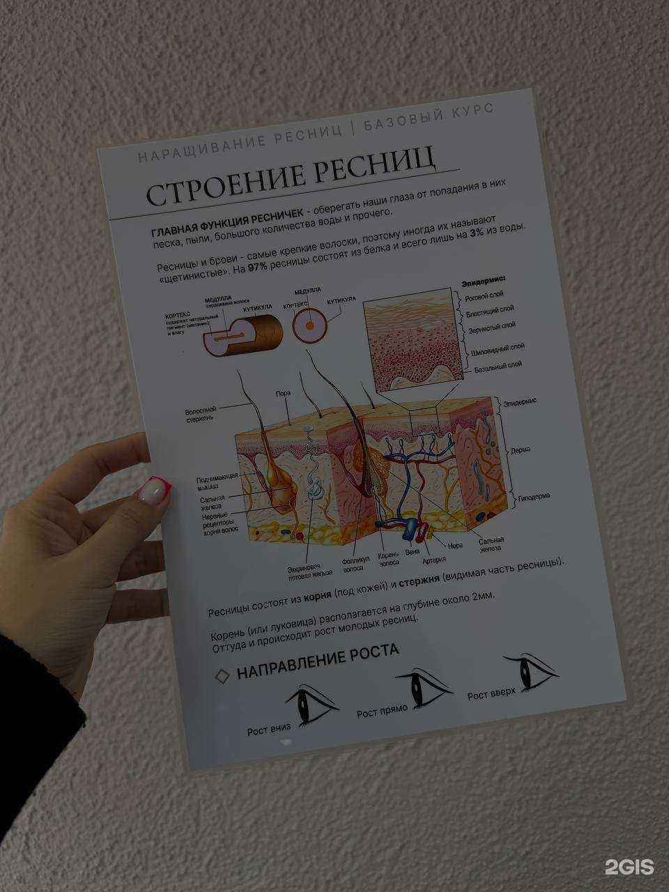 Отзывы на компанию Red Cat в Кургане c фото