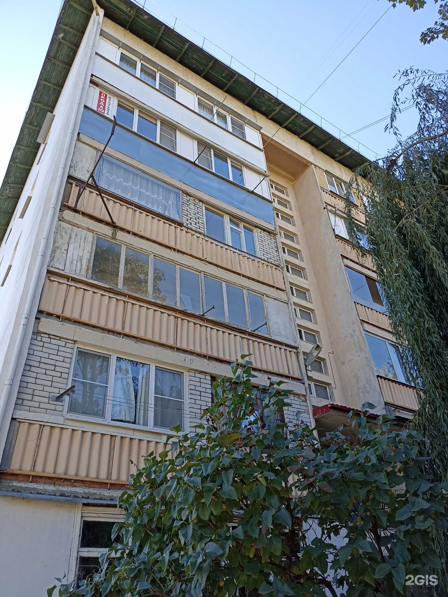 Отзывы на компанию Diva в Кисловодске c фото - фотография 2 из 2