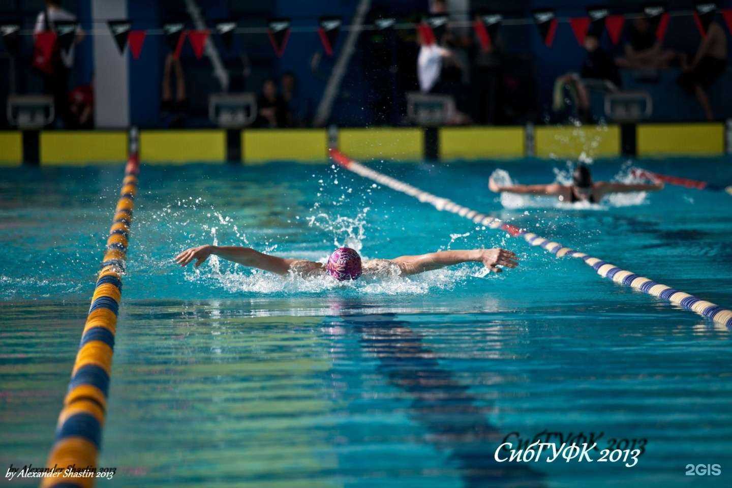 Отзывы на компанию Альбатрос в г. Омск c фото