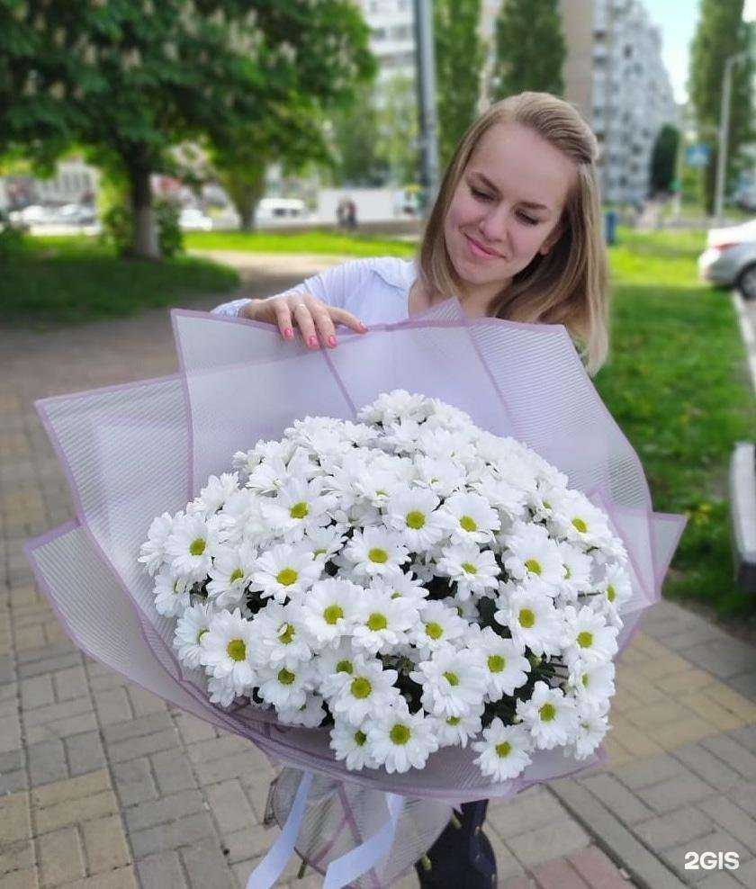 Отзывы на компанию Пальма в г. Белгород c фото