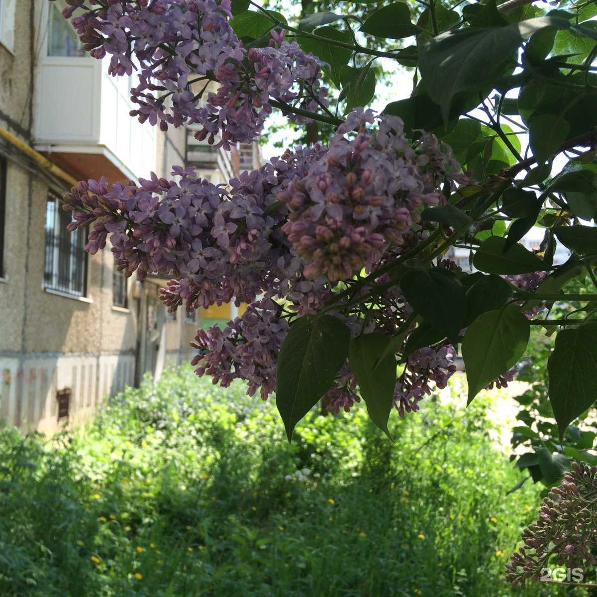 Отзывы на компанию Пункт продажи и пополнения транспортных карт и льготных проездных документов в г. Пермь c фото