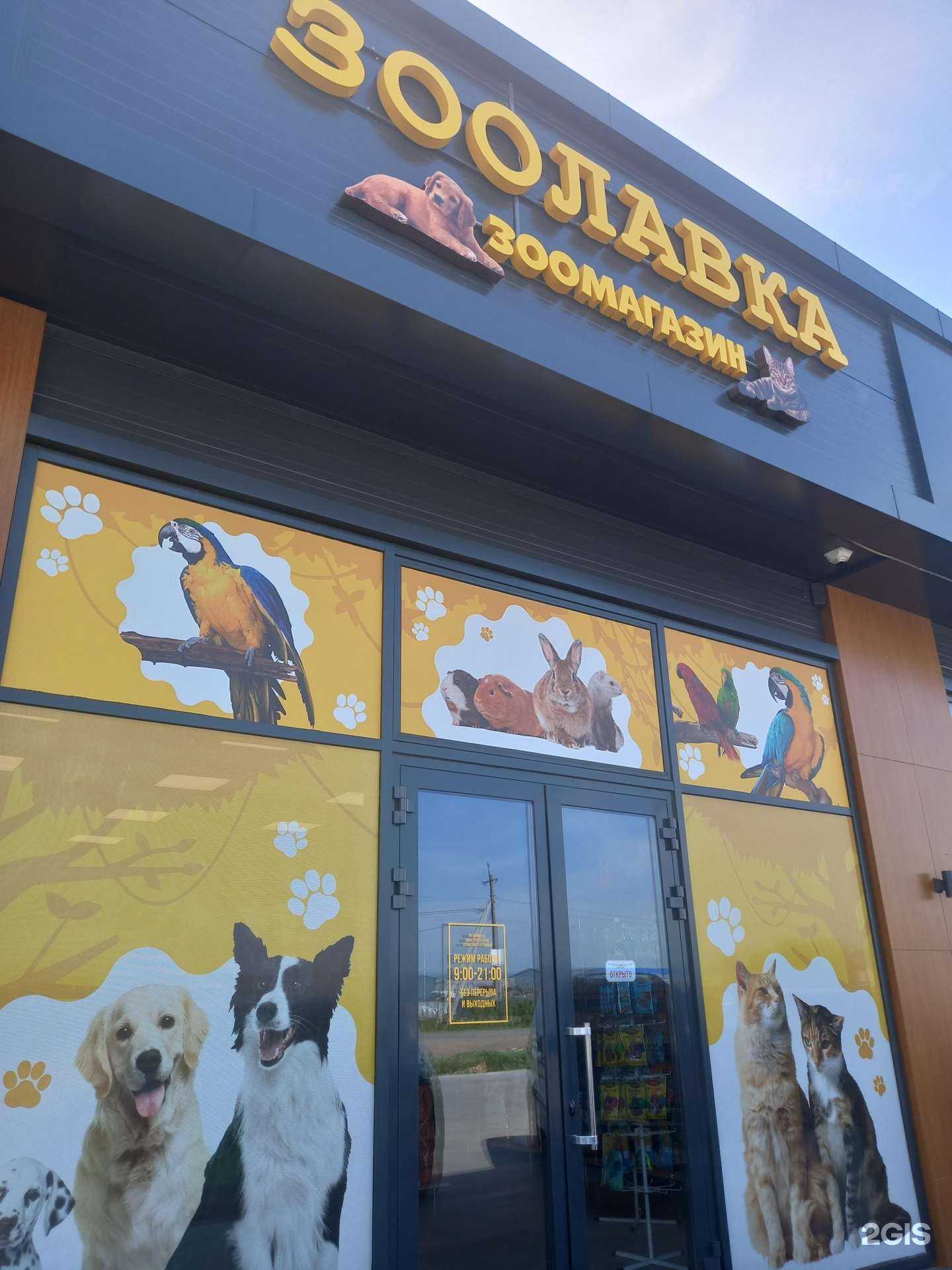 Отзывы на компанию Зоолавка в г. Краснодар c фото