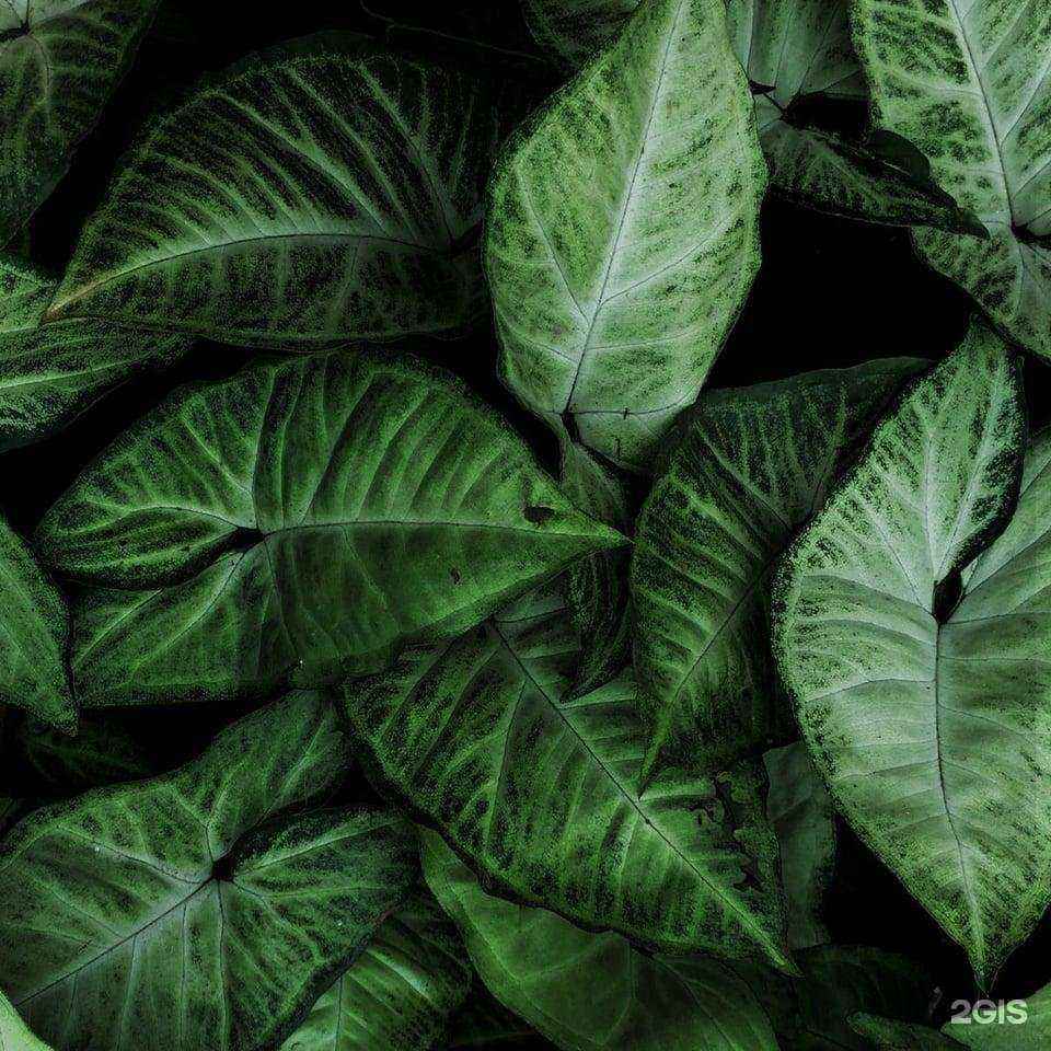 Отзывы на компанию Intimissimi в Перми c фото