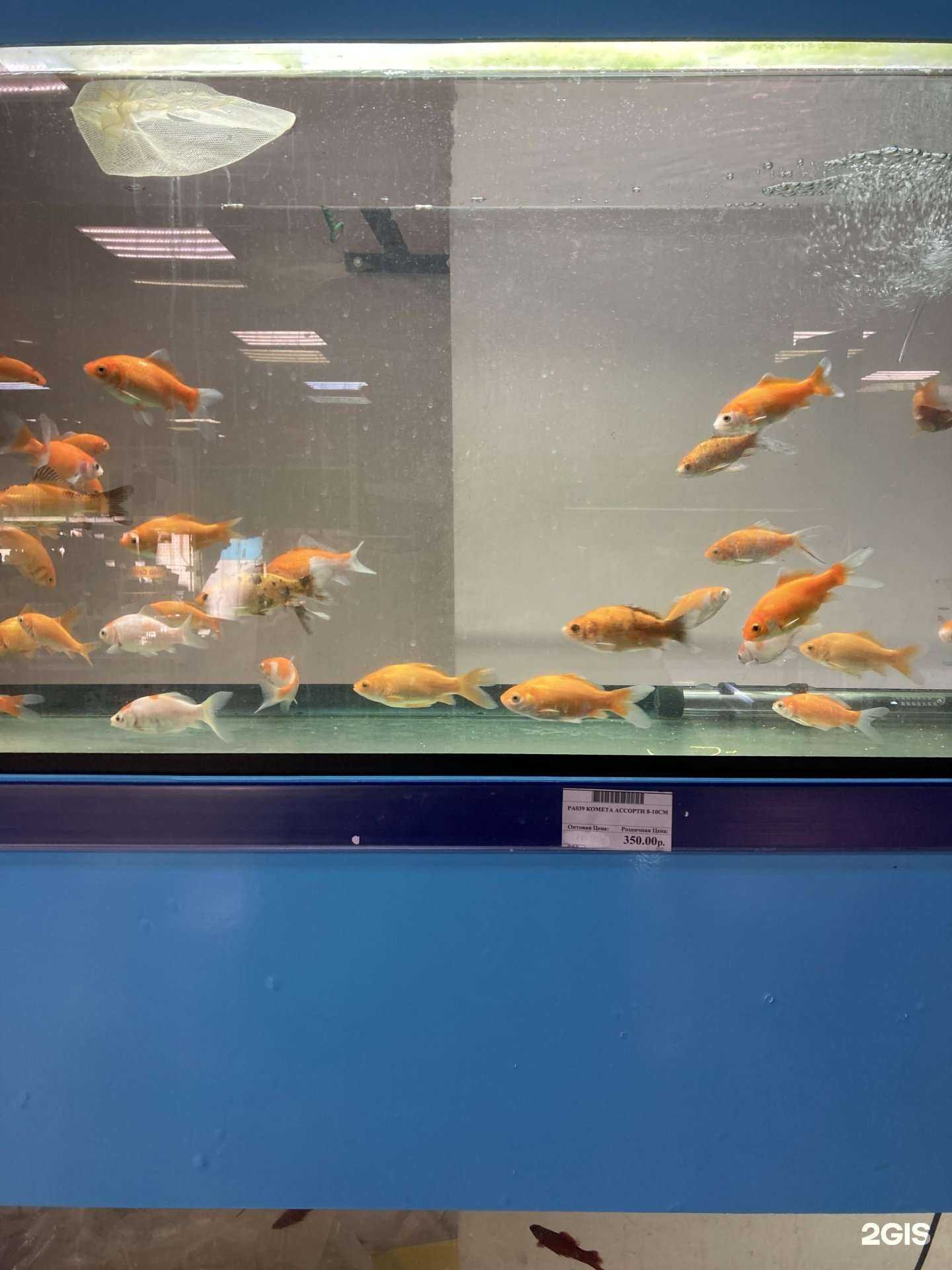 Отзывы на компанию Зоотрейд в Екатеринбурге c фото