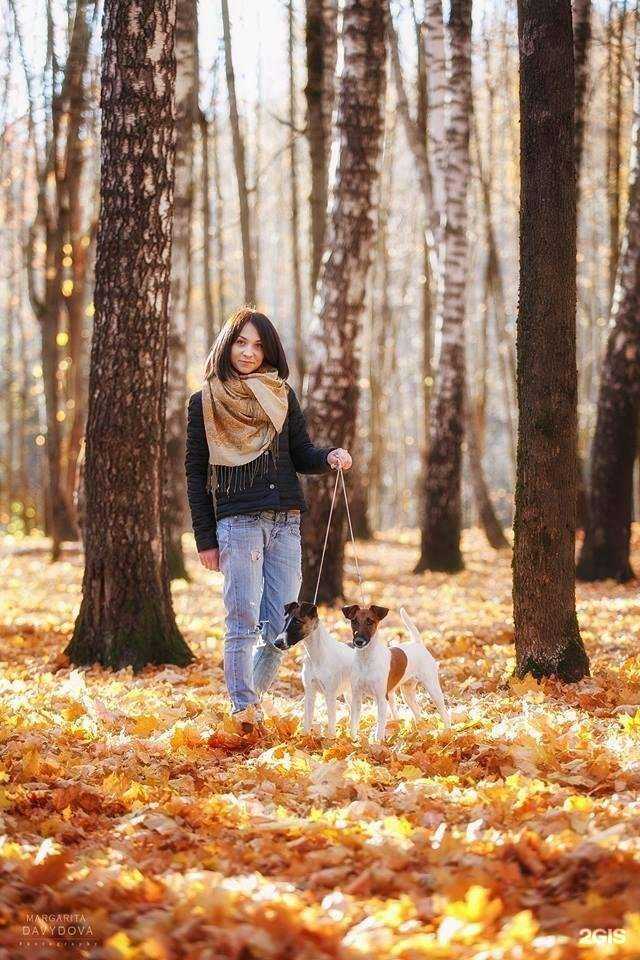 Отзывы на компанию Авангард в г. Смоленск c фото