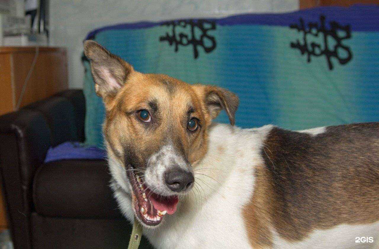 Отзывы на компанию Наш Дом в Челябинске c фото