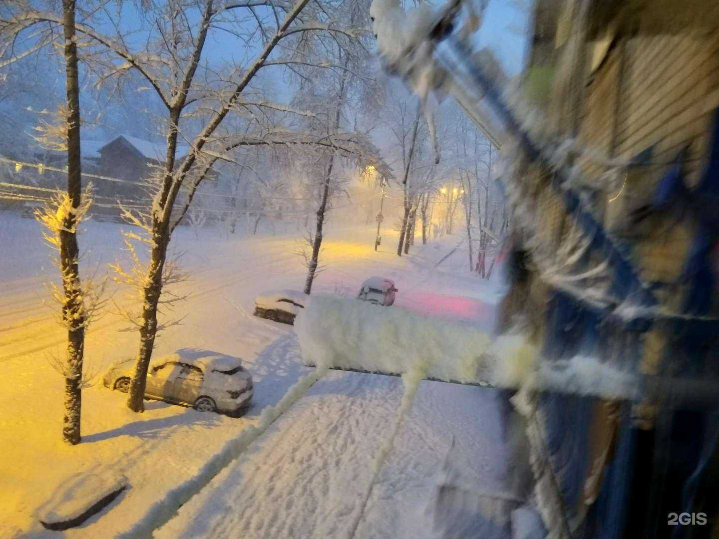 Отзывы на компанию Форвард в Хабаровске c фото - фотография 2 из 2