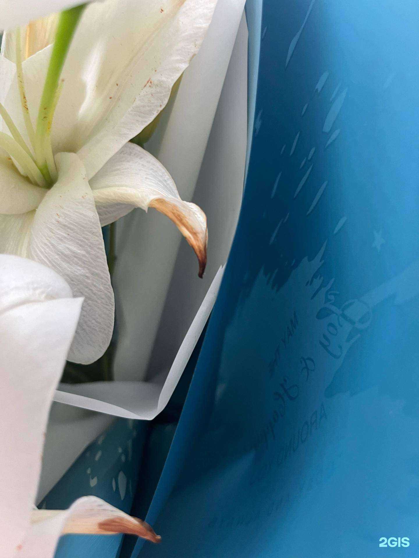 Отзывы на компанию Аксенья, магазин цветов в Красноярске c фото