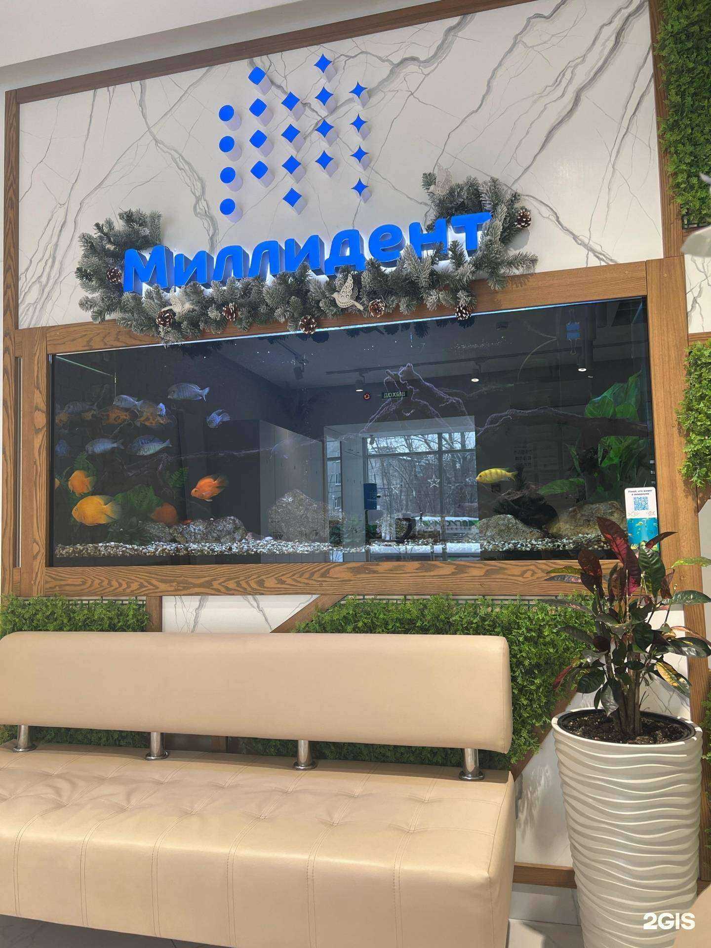 Отзывы на компанию Миллидент в Казани c фото