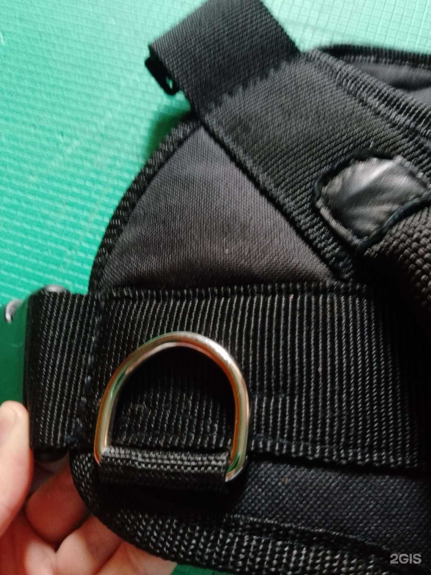 Отзывы на компанию Кошки-Мышки в г. Вологда c фото