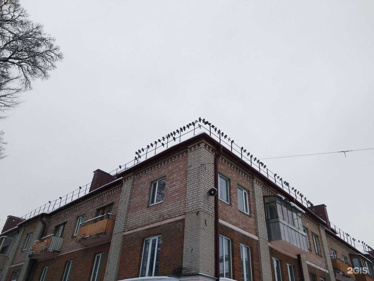 Отзывы на компанию Mот в Брянске c фото - фотография 2 из 2