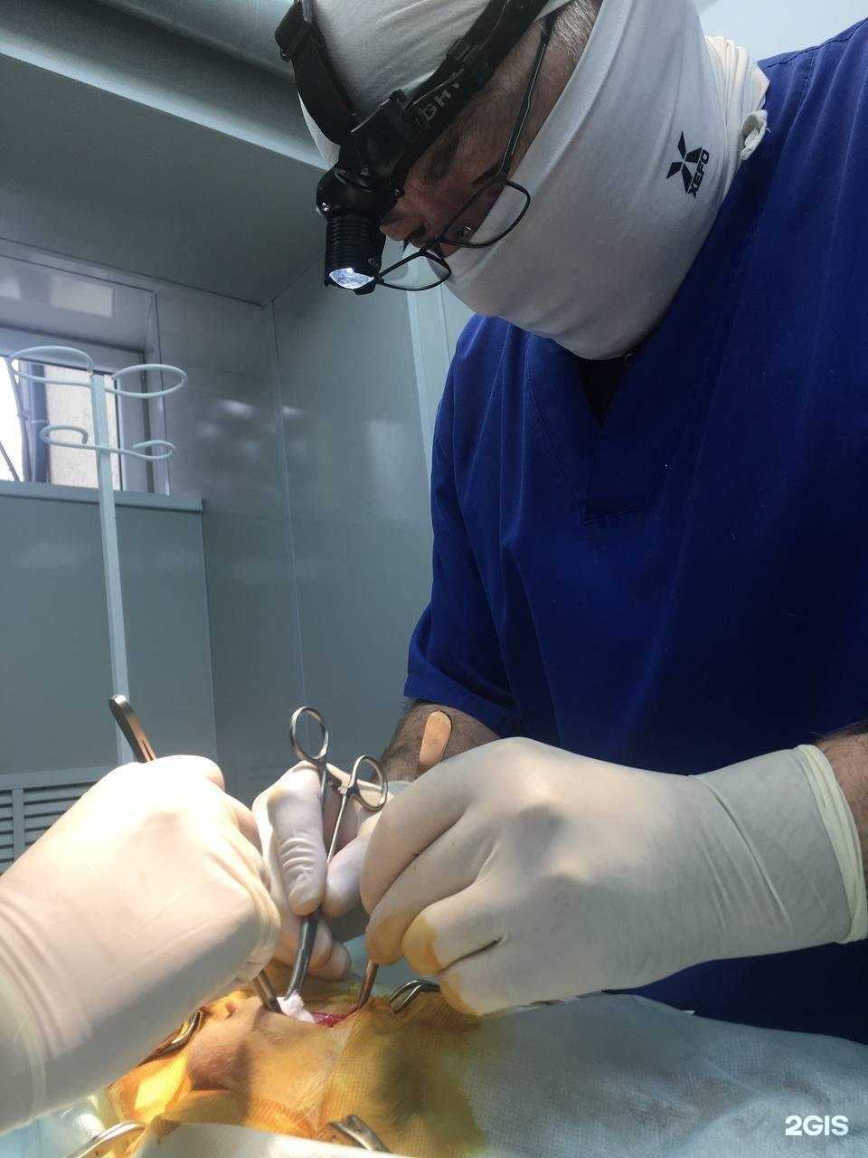 Отзывы на компанию Ветка в г. Гурьевск c фото