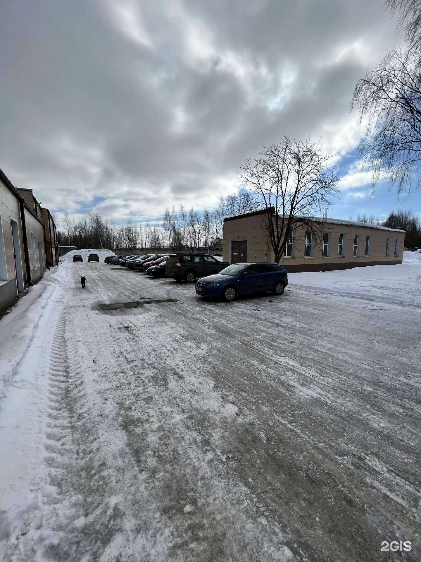 Отзывы на компанию СпецТрансСервис в г. Тверь c фото