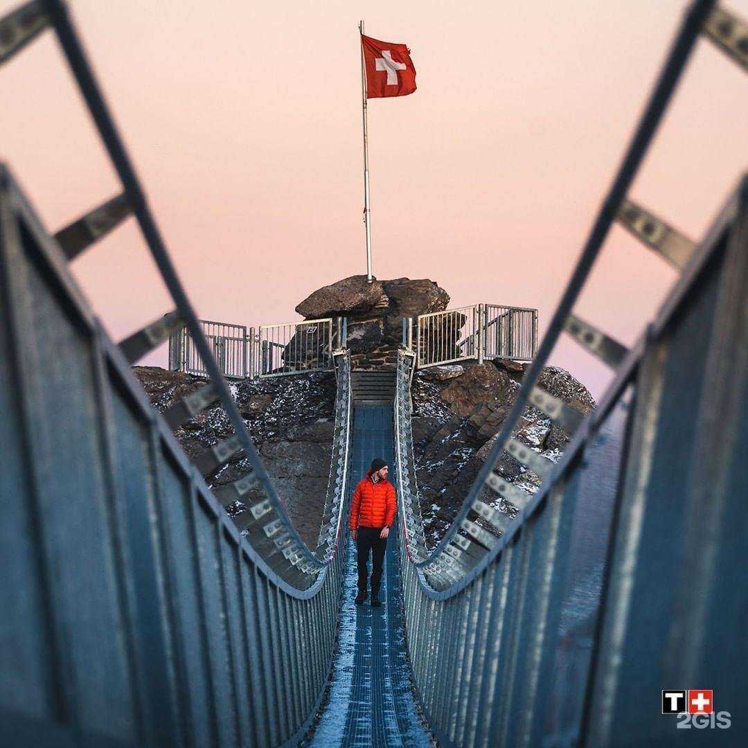 Отзывы на компанию Tissot в г. Котельники c фото