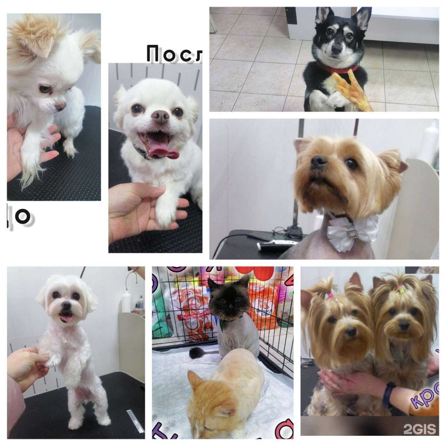 Отзывы на компанию ТимМурка в г. Тольятти c фото