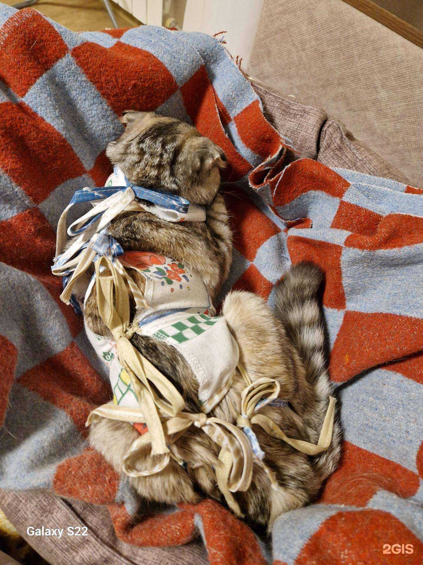 Отзывы на компанию Зоодом в г. Ангарск c фото