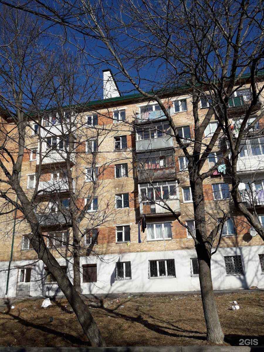 Отзывы на компанию Синий кот в Владивостоке c фото - фотография 2 из 2