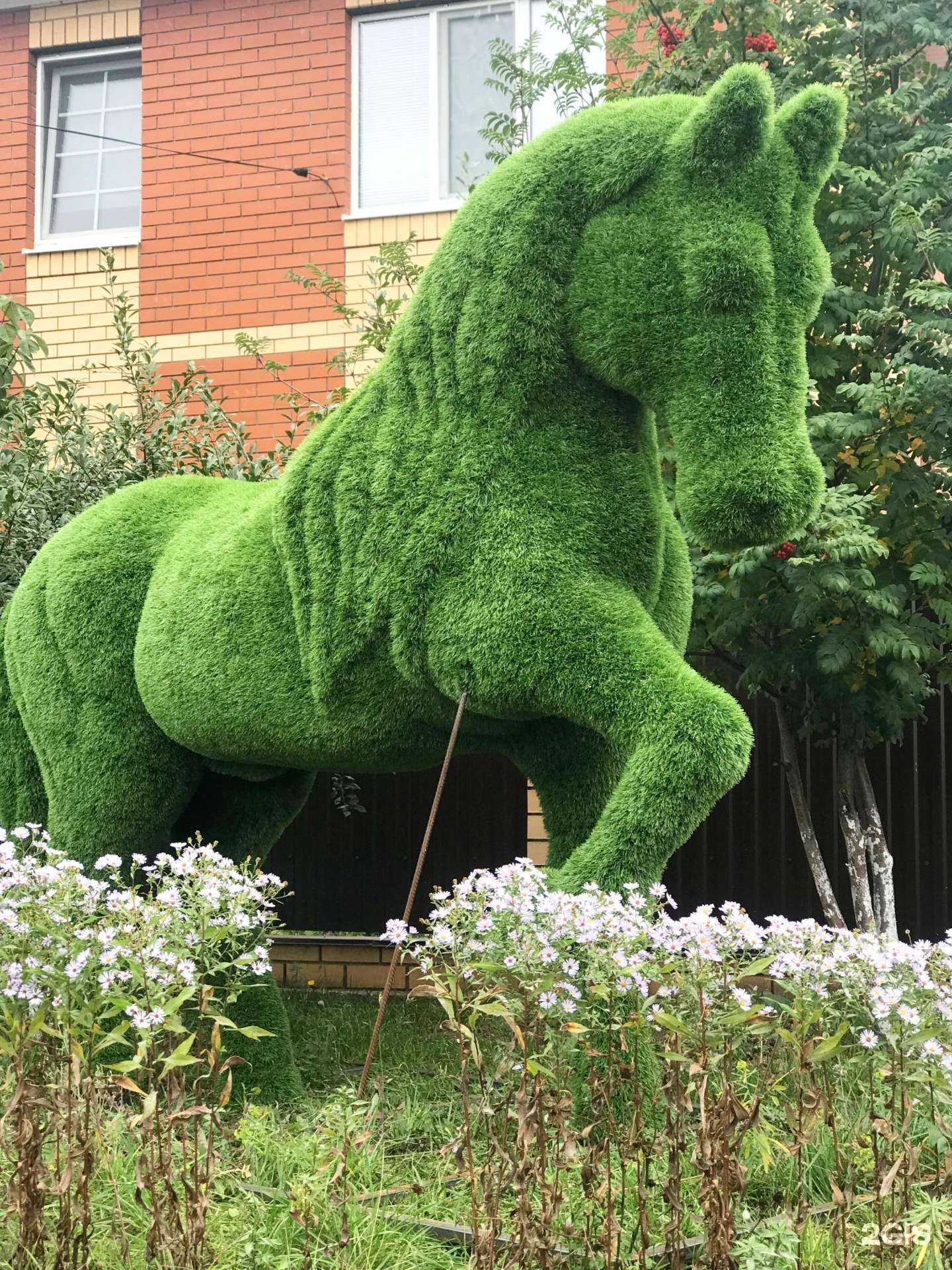 Отзывы на компанию Топиарий Декор в г. Уфа c фото