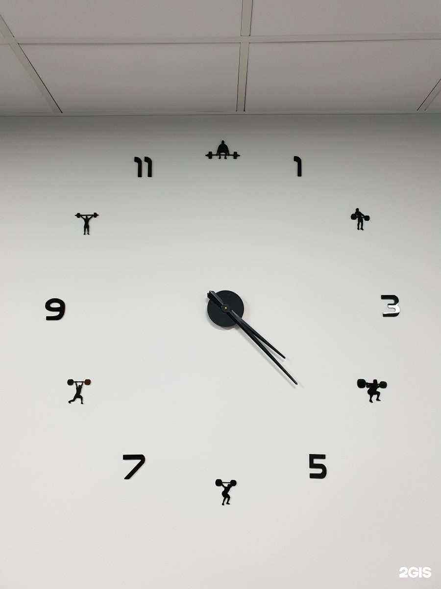 Отзывы на компанию Patrocl Olympya Gym в Владивостоке c фото