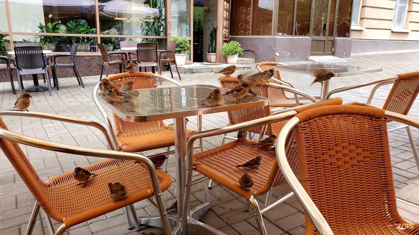 Отзывы на компанию Кофе&мороженое в Волгограде c фото