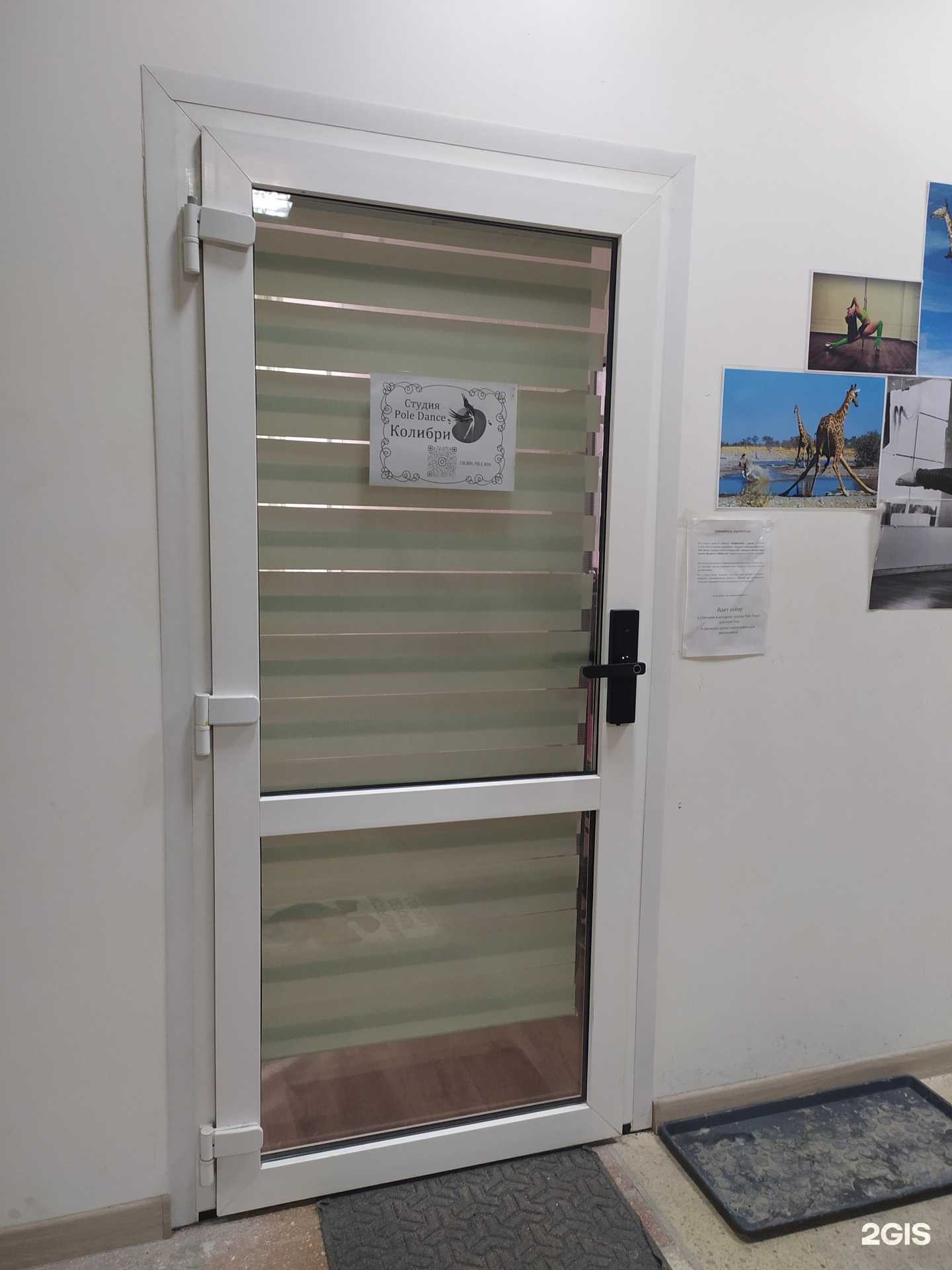 Отзывы на компанию Colibri в Новосибирске c фото